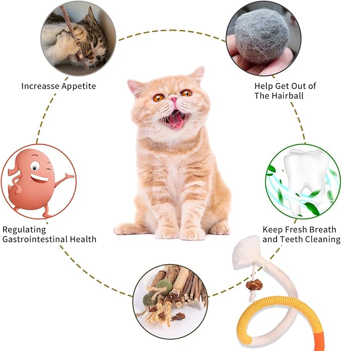Cat Toys Cat Chew Toys, Silvervine Sticks Catnip Rope Toys for Cats Teeth Cleaning, Kitten Dental Care, Kitty for Indoor Cats Increase Appetite,Enhances Oral &amp; Dental Health (21 Pack)