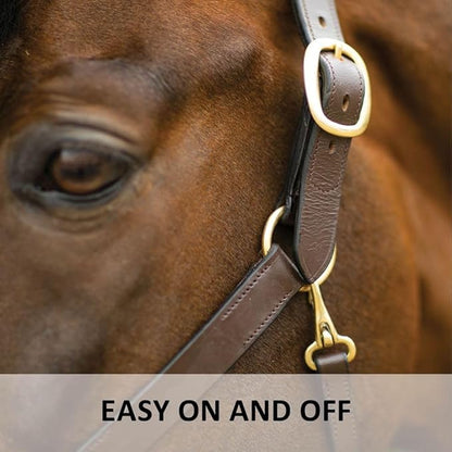 Dura-Tech Premier Lancaster Leather Halter for Horses | Simple Economy Leather Halter with Adjustable Fit &amp; Solid Brass Hardware