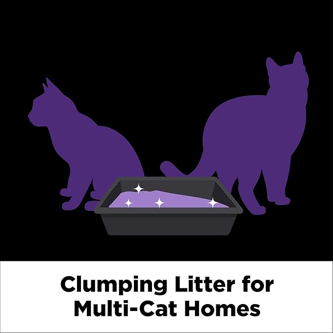 ARM &amp; HAMMER Clump &amp; Seal Slide Platinum Multi-Cat Clumping Litter, Easy Clean, Superior Odor Control, 27.5 Lbs