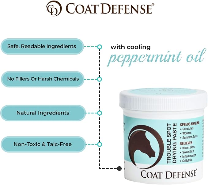 COAT DEFENSE Trouble Spot Drying Paste for Horses - Natural Equine Wound Care That Provides Safe &amp; Effective Relief from Scratches, Sweet Itch, Summer Sores, Proud Flesh, Mud Fever, Girth Rot (24 Oz)