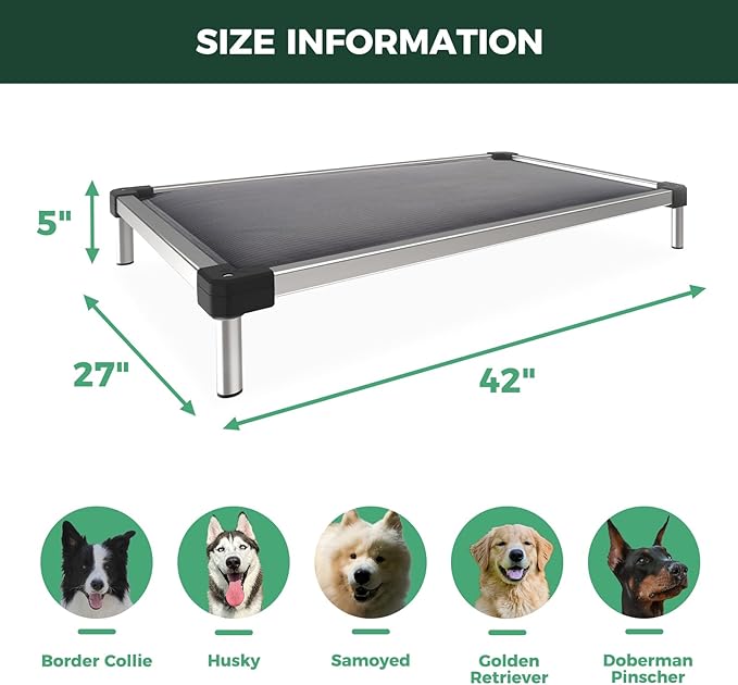 FXW TitanNest Chew-Proof Elevated Dog Bed, Raised Cot for Indoor/Outdoor/Camping Use, Durable &amp; Washable Padded Pet Bed for Medium Dogs, 42.0" L x 27.0" W x 5.0" H, Gray