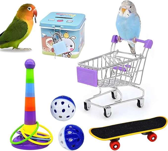 6pcs Interactive Puzzle Toy Set for Small Parrots - Training, Stress Relief, Include Coin Box, Bell Ball, Skateboard &amp; Ferrule Toy for Bird Budgies, Cockatiels, Parakeet etc