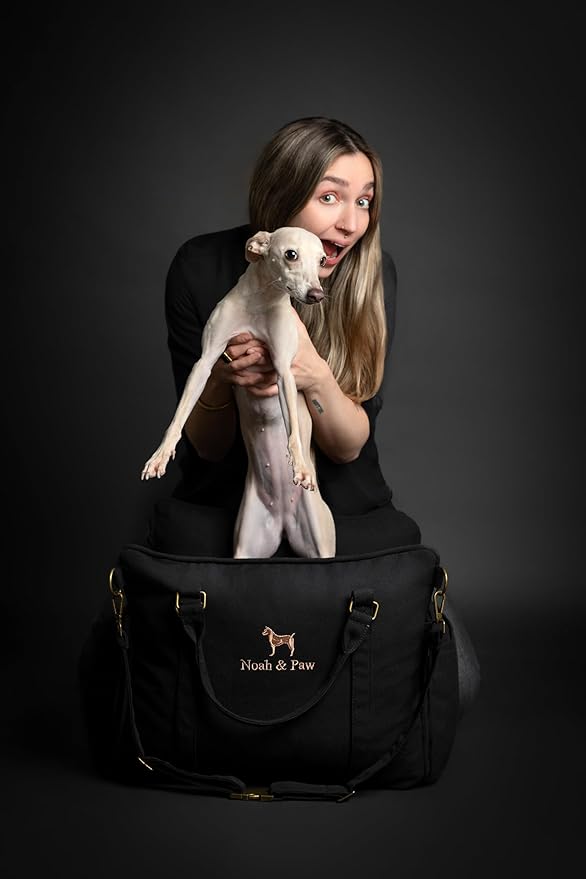 Noah &amp; Paw Dog Car Seat Carrier, Small Dog Car Seat for Small Medium Pets with Harness Clip, 4X Safety Feature, Booster Travel Bed, Waterproof Washable, Orthopedic Foam Filling, Canvas Collection