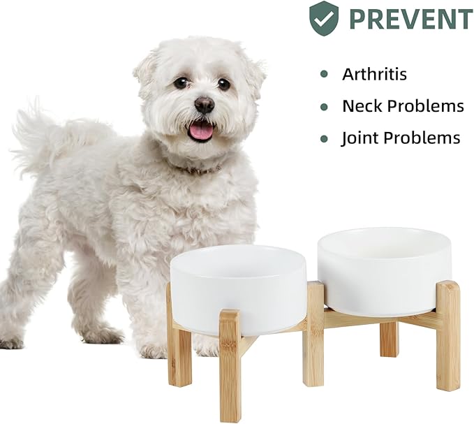 Ceramic Raised Double Bowls Set with Stand, 2 Heights Elevated, Food &amp; Water Bowls for Small Breed Dogs, Weighted Dog Dishes, Pet Bowl(6.1&