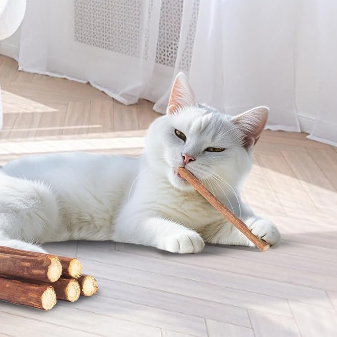 Cat Toys Cat Chew Toys, Silvervine Sticks Catnip Rope Toys for Cats Teeth Cleaning, Kitten Dental Care, Kitty for Indoor Cats Increase Appetite,Enhances Oral &amp; Dental Health (20 Pack)