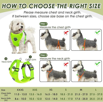 SlowTon Dog Seat Belt Harness for Car, Dog Car Harness Adjustable Mesh Breathable &amp; Dog Seatbelt Safety Tether with Elastic Bungee for Small Medium Large Pets(Lime, Double Clip, M)