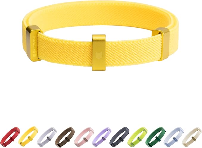 Safety Cat Collar - U.S. IDA Gold Awarding Design, Elastic Quick Release, Non Breakaway - Lightweight for Kitten, Neck Fit 5.9&