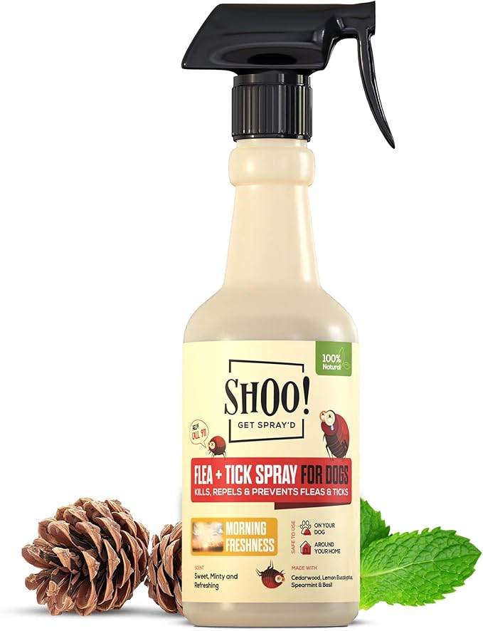 Shoo! Flea &amp; Tick Spray for Dogs and Home | Plant Based, Natural Oils, Chemical Free Formula | Kills, Repels, Prevents | 16 oz (Morning Freshness)