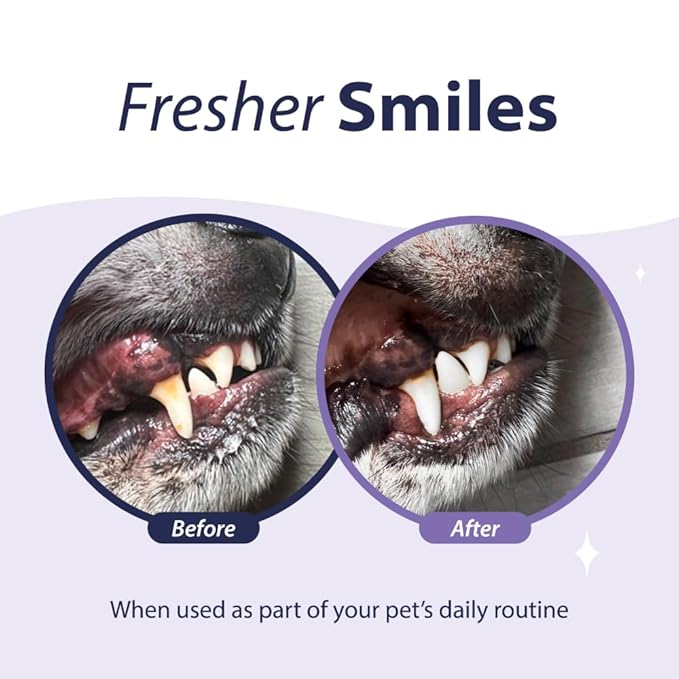 Dental Fresh Advanced Plaque and Tartar Water Additive, 32oz – Dog Teeth Cleaning Formula to Freshen Breath and Improve Cat &amp; Dog Dental Care