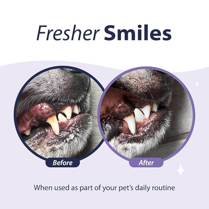 Dental Fresh Advanced Plaque and Tartar Water Additive, 32oz – Dog Teeth Cleaning Formula to Freshen Breath and Improve Cat &amp; Dog Dental Care