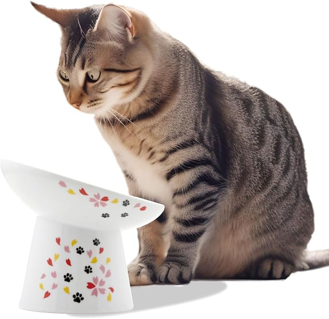 Necoichi Extra Wide Raised Cat Food Bowl, Elevated Cat Bowls to Prevent Neck &amp; Whisker Fatigue, Dishwasher and Microwave Safe, No.1 Seller in Japan! (Sakura Limited Edition, Extra Wide Tilted)