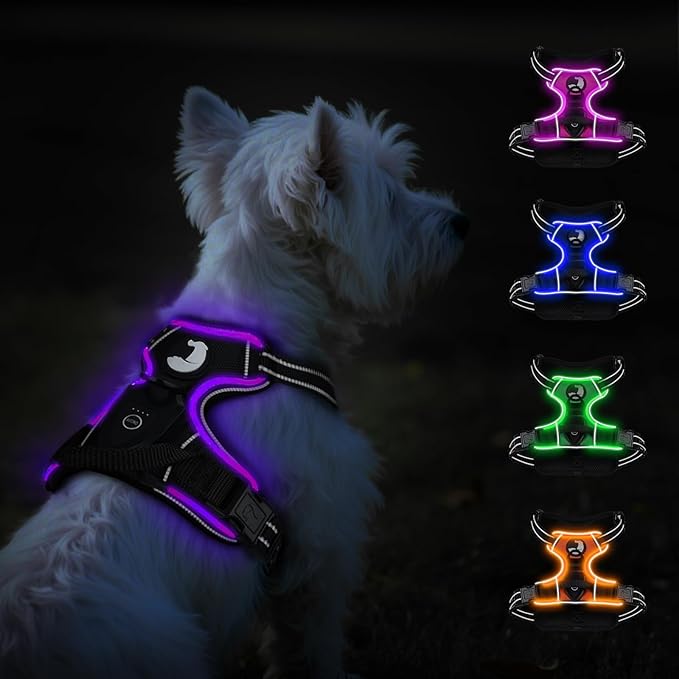 Taglory Light Up Dog Harness, Rechargeable No Pull Dog Vest with 3 Lightning Modes, Reflective Dog Harness with 2 Leash Clips &amp; 4 Adjustable Slide Strips for Small Dogs, Black-Purple, S