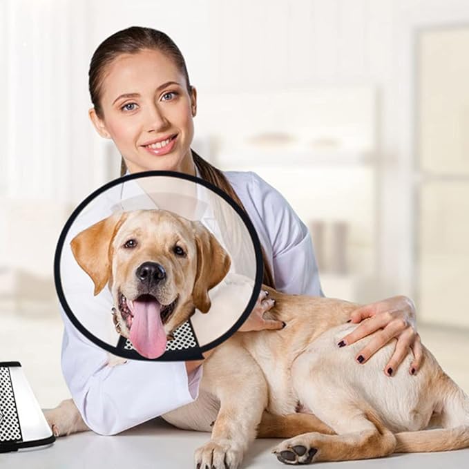 Plastic Pet Recovery Collars &amp; Cones for Dogs and Cats After Surgery Adjustable Dog Neck Cone Surgical Elizabeth E-Collar Prevent Biting and Stop Licking Wound (M)