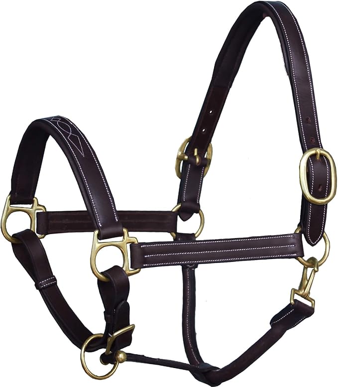 Exion Leather Horse Halter with Fancy Stitching | Black &amp; Brown Padded Halter with Brass Hardware | Quick-Release Snap | Adjustable Leather Halter – Cob, Full, Over, Pony Sizes