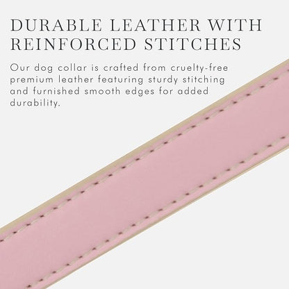 Cupertino Dog Collars, Harnesses &amp; Leashes Made from Vegan Leather with Dog Tracker Device Holder Adjustable Dog Collar (Extra Small (Neck: 9x12), Pink)