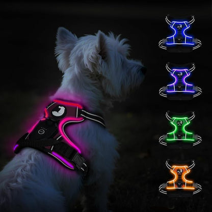 Taglory Light Up Dog Harness, Rechargeable No Pull Dog Vest with 3 Lightning Modes, Reflective Dog Harness with 2 Leash Clips &amp; 4 Adjustable Slide Strips for Small Dogs, Hotpink-Hotpink, S