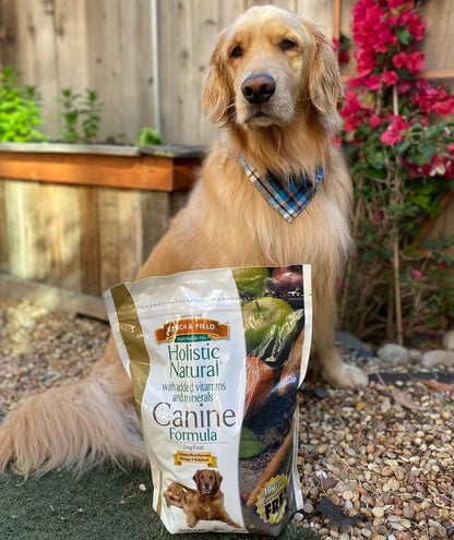Bench &amp; Field Holistic Natural Adult Dry Dog Food, Chicken Meal and Brown Rice Recipe 6.6 lb Bags (Pack of 2)