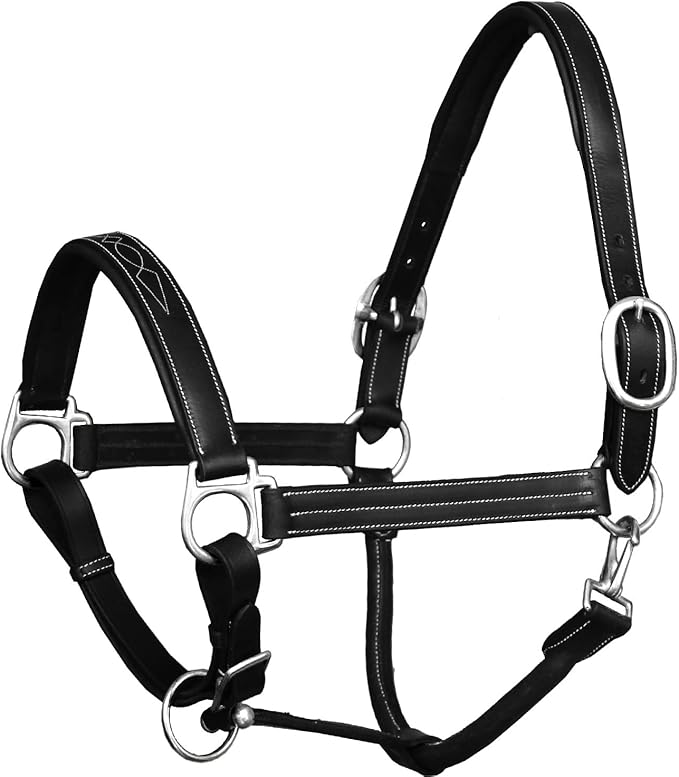 Exion Leather Horse Halter with Fancy Stitching | Black &amp; Brown Padded Halter with Silver Brass Hardware | Quick-Release Snap | Adjustable Leather Halter – Cob, Full, Over, Pony Sizes