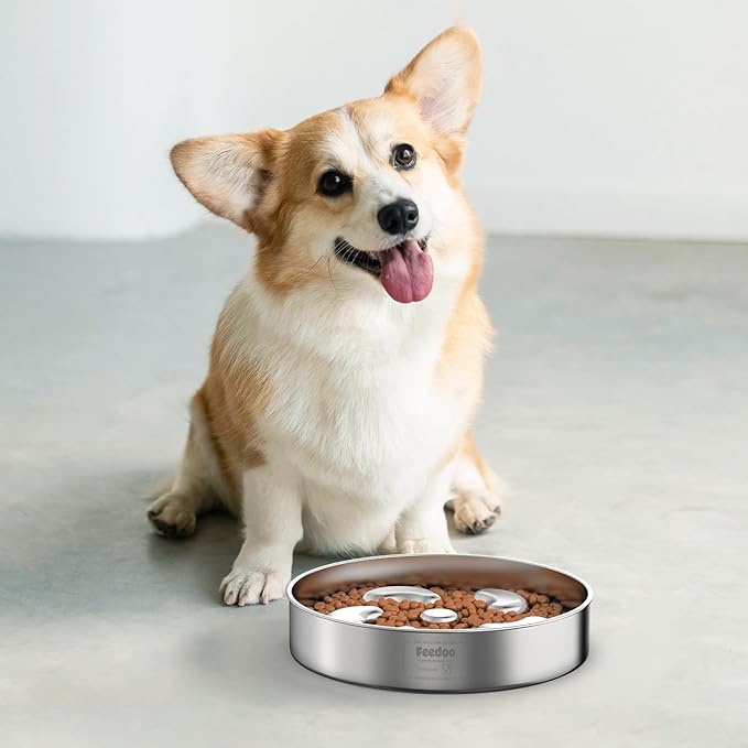 2Pack Slow Feeder Dog Bowls, Double-Layer Food-Grade Stainless Steel, Heavy Duty with Non-Slip Rubber Base, 2Cups Capacity for Small and Medium Dogs to Slow Down Eating
