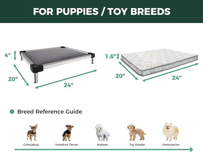 FXW TitanNest Chew-Proof Elevated Dog Bed, Raised Cot for Indoor/Outdoor/Camping Use, Durable &amp; Washable Padded Pet Bed with Exclusive Reuseable Cover for Toy Dogs, 24.0" L x 20.0" W x 4.1" H, Gray