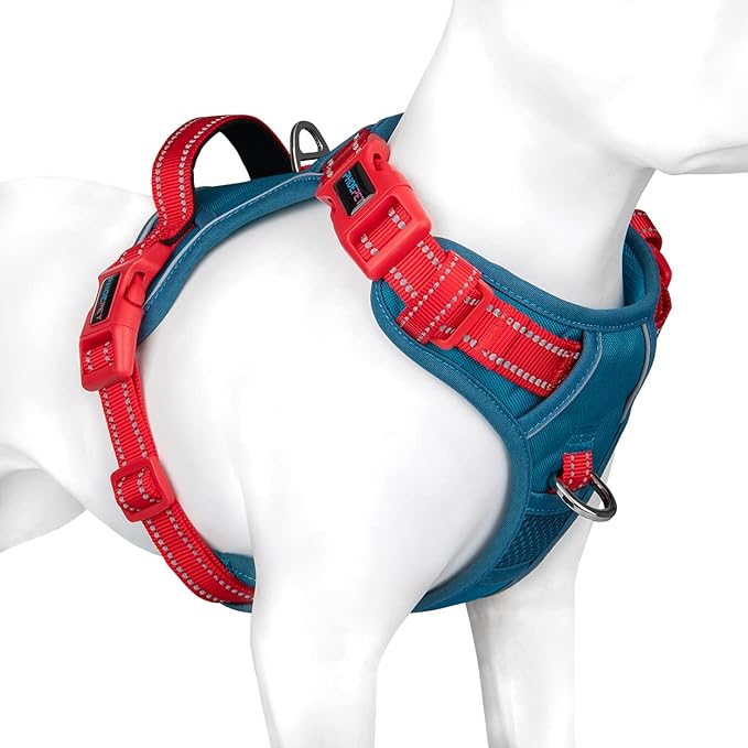 PHOEPET No Pull Dog Harness, Unique Colors Reflective Adjustable Dog Vest, with Soft Training Handle Metal Clips for Small Medium Large Dogs (Teal Base &amp; Red Straps,XS)