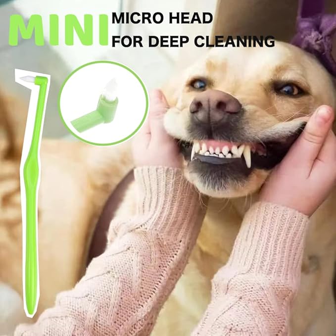 8 Pack Small Dog &amp; Cat Toothbrush Kit, 360º Pet Toothbrush/Mini Head/Dual Head / 10000 Ultra-Soft Bristles Tooth Brush/Finger Toothbrushs for Cat Kitten Doggie Dental Care, Oral Hygiene