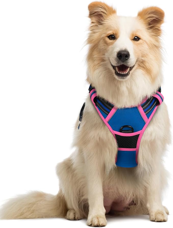 rabbitgoo Dog Harness No Pull with 2 Leash Clips, Adjustable Soft Padded, Reflective Oxford No Choke Pet Vest with Easy Control Handle for Large Dogs, Blue &amp; Hot Pink, M