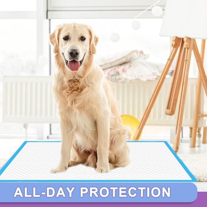 IMMCUTE Puppy Pee Pads 22"x23"-150 Count | Dog Pee Training Pads Super Absorbent &amp; Leak-Proof | Disposable Pet Piddle and Potty Pads for Puppies | Dogs | Doggie| Cats | Rabbits