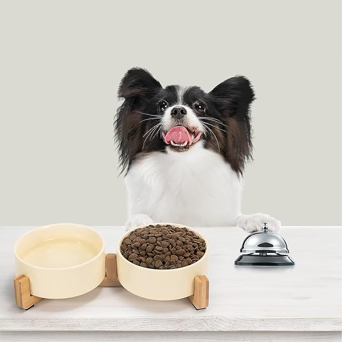 SPUNKYJUNKY Ceramic Dog and Cat Bowl Set with Wooden Stand, Modern Cute Weighted Food Water Set for Small Size Dogs (13.5OZ) &amp; Medium Sized Dogs (28.7OZ) &amp; Cats (1.7 Cups, 2 × Beige)