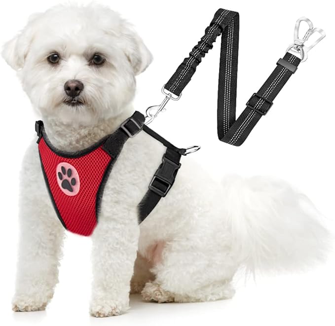 SlowTon Dog Seat Belt Harness for Car, Dog Car Harness Adjustable Mesh Breathable &amp; Dog Seatbelt Safety Tether with Elastic Bungee for Small Medium Large Pets(Red, Double Clip, XXS)