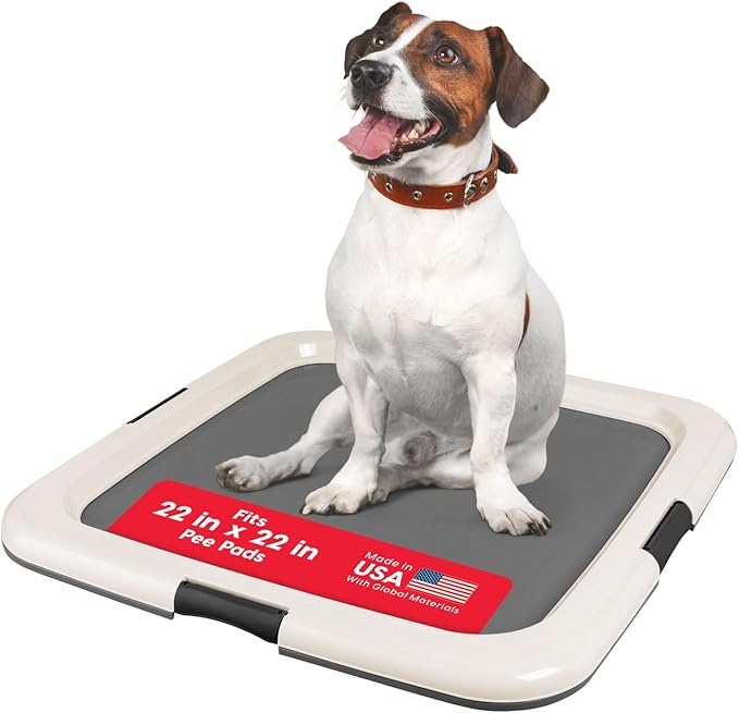 IRIS USA Pee Pad Holder - For Potty Training Regular Sized Dog &amp; Puppy Pee Pads, Secured Latches, Non-Skid Feet, Leak Protection, Fits 22"x22" Pad or Larger, Square, Dark Gray