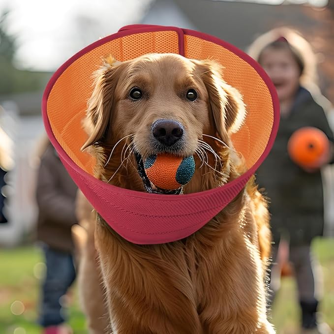 Soft Dog Cone Recovery Collars &amp; Cones After Surgery for Medium Large Dogs, Comfy Ecollars to Stop Licking, Adjustable, Dog Ecollars for Recovery Plastic: Superior Support Fabric: Soft Comfort, XL