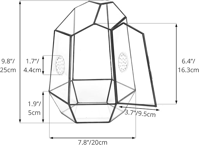 NCYP Closed Geometric Glass Enclosure with Front Opening Door &amp; 2 Vent Holes for Insects, Succulent, Cacti - 7.9"x6.9"x9.8" Black Irregular Terrarium Planter - Home Garden Tabletop Decor (No Plants)