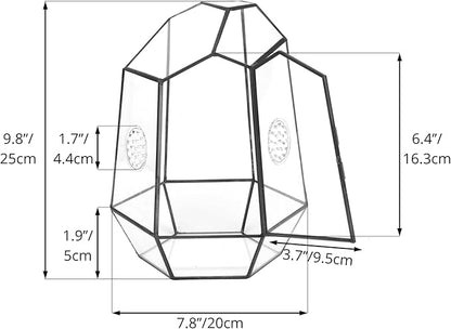 NCYP Closed Geometric Glass Enclosure with Front Opening Door &amp; 2 Vent Holes for Insects, Succulent, Cacti - 7.9"x6.9"x9.8" Black Irregular Terrarium Planter - Home Garden Tabletop Decor (No Plants)
