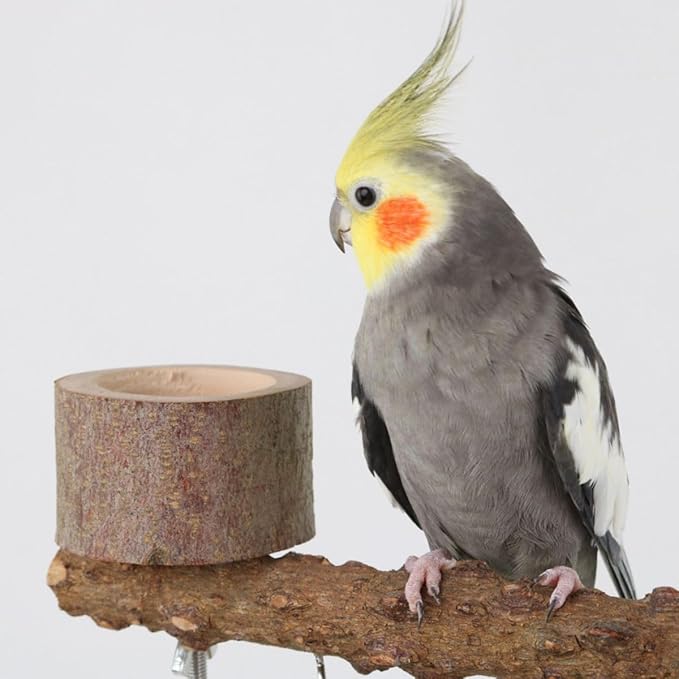 Natural Wood Parrot Stand - Ideal Toy &amp; Accessory for Parakeets, Canaries, Cockatiels, Conure, Lovebirds - Bird Perch Stand with Removable Tray Climbing Net Chewing Toys- Perfect Pet Birds Playstand