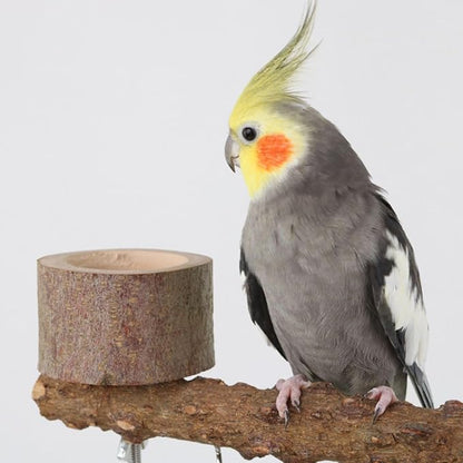 Natural Wood Parrot Stand - Ideal Toy &amp; Accessory for Parakeets, Canaries, Cockatiels, Conure, Lovebirds - Bird Perch Stand with Removable Tray Climbing Net Chewing Toys- Perfect Pet Birds Playstand