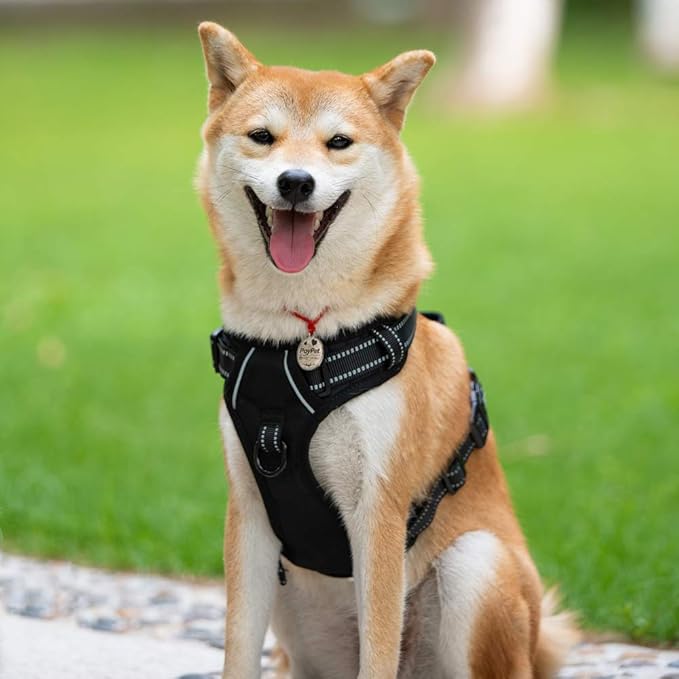 PoyPet No Pull Dog Harness, Reflective Comfortable Vest Harness with Front &amp; Back 2 Leash Attachments and Easy Control Handle Adjustable Soft Padded Pet Vest for Small to Large Dogs (Black,XS)