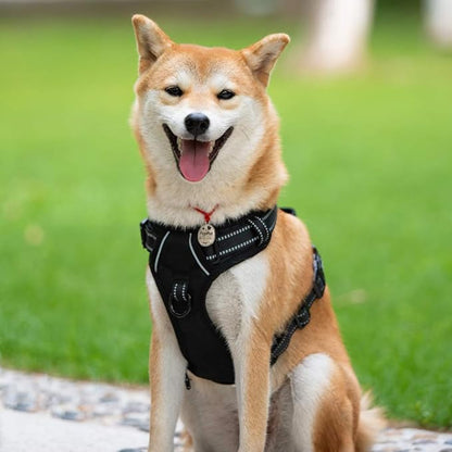 PoyPet No Pull Dog Harness, Reflective Comfortable Vest Harness with Front &amp; Back 2 Leash Attachments and Easy Control Handle Adjustable Soft Padded Pet Vest for Small to Large Dogs (Black,XS)