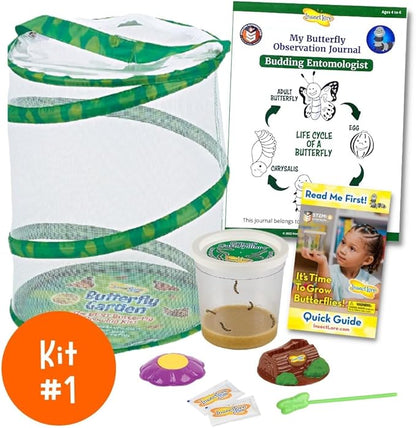 Insect Lore Bug Camp Bundle | Butterfly Kit with 1 Cup Live Caterpillars | Ladybug Land with 1 Tube Live Larvae | Ant Mountain with 1 Tube Live Western Harvester Ants | Life Cycle Figurines &amp; More