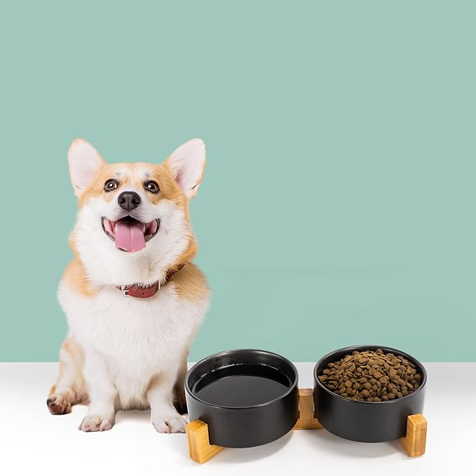 SPUNKYJUNKY Ceramic Dog and Cat Bowl Set with Wooden Stand, Modern Cute Weighted Food Water Set for Small Size Dogs (13.5OZ) &amp; Medium Sized Dogs (28.7OZ) &amp; Cats (3.6 Cups, 2 × Black)
