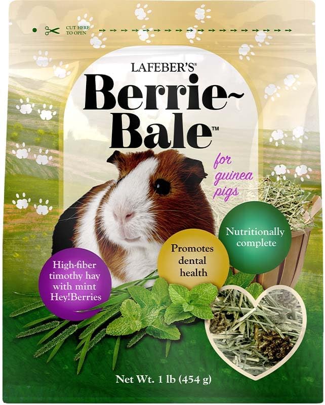 LAFEBER&