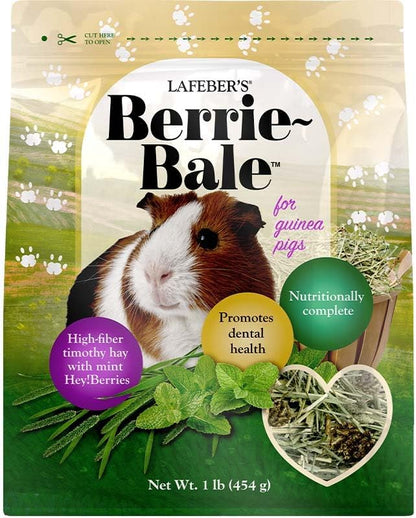 LAFEBER&