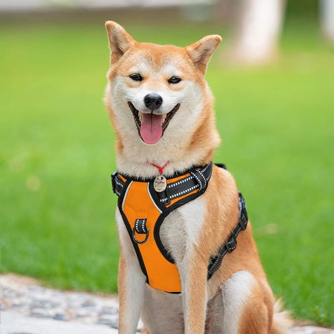 PoyPet No Pull Dog Harness, Reflective Comfortable Vest Harness with Front &amp; Back 2 Leash Attachments and Easy Control Handle Adjustable Soft Padded Pet Vest for Small to Large Dogs (Orange,XL)