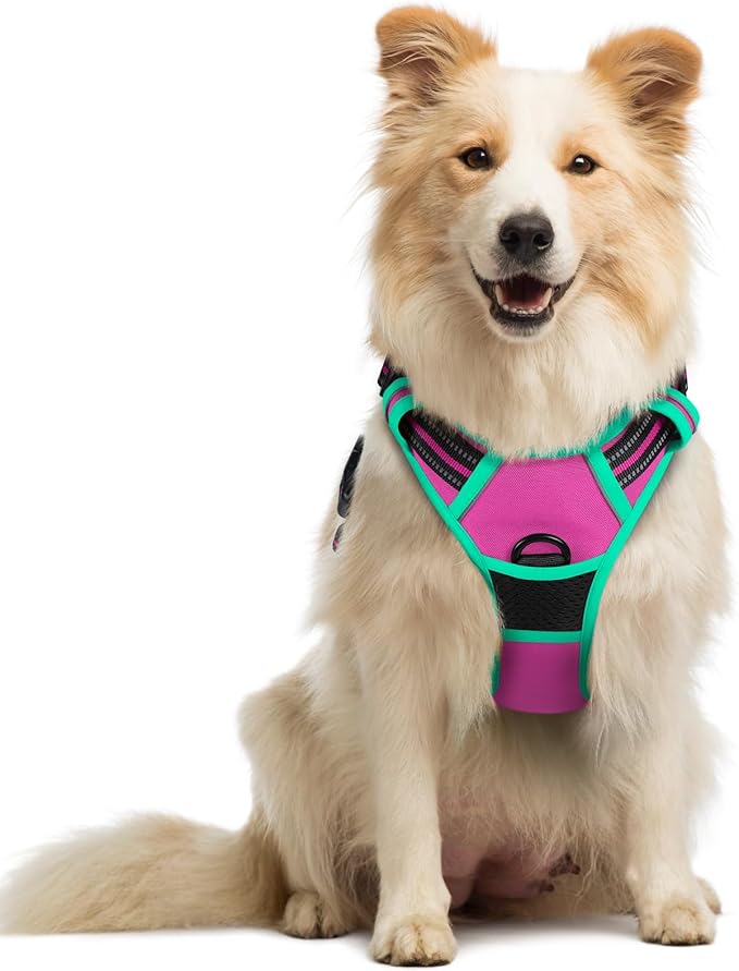 rabbitgoo Dog Harness No Pull with 2 Leash Clips, Adjustable Soft Padded, Reflective Oxford No Choke Pet Vest with Easy Control Handle for Large Dogs, Hot Pink &amp; Turquoise, M