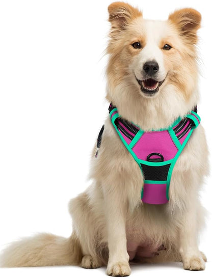 rabbitgoo Dog Harness No Pull with 2 Leash Clips, Adjustable Soft Padded, Reflective Oxford No Choke Pet Vest with Easy Control Handle for Large Dogs, Hot Pink &amp; Turquoise, M