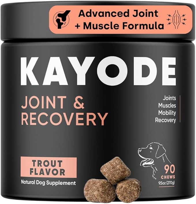Joint &amp; Recovery | 2-in-1 Joint &amp; Muscle Chews. Help Reduce Pain &amp; Increase Daily Activity. Helps with Arthritis and Pain Prevention. Tasty Trout Flavor.