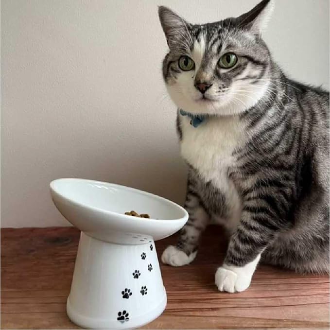 Necoichi Extra Wide Raised Cat Food Bowl, Elevated, Prevent Neck &amp; Whisker Fatigue, Dishwasher and Microwave Safe, No.1 Seller in Japan! (Cat, Extra Wide Tilted)