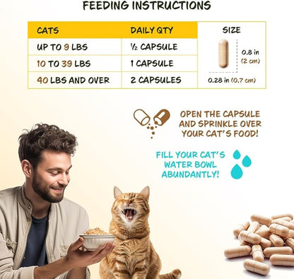 FiberSyl Ovatasyl Prebiotics for Cats Digestive Health - Cat Fiber Supplements for Constipation Relief &amp; Support - Psyllium Husk Seed to Support Digestion Problems - Cat Stool Hardener - 60 Capsules