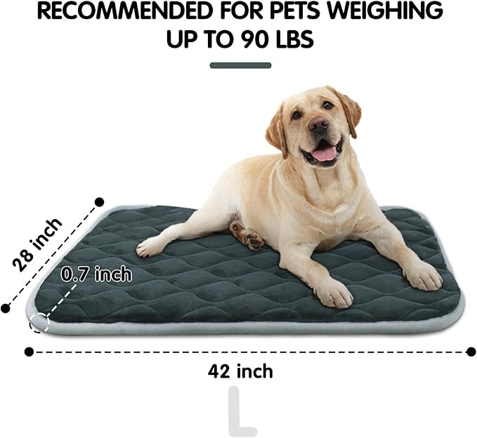 furrybaby Dog Bed Mat Flat Crate Mat with Anti-Slip Bottom Machine Washable Pet Kennel Pad for Dog Sleeping (L 42x28&