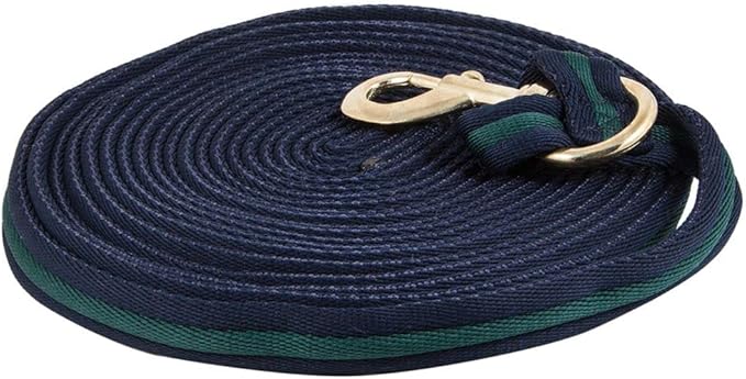 Dura-Tech Cushion Lunge Line for Horses | Stable Use &amp; Horse Training | Horse Lunge Line with Snap | Durable Horse Lead Rope | 30 Foot Length | Replaceable Brass Snap